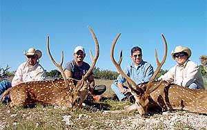 De safari... en Texas : los ranchos texanos ofrecen cacerías para matar animales exóticos, algunos en vías de extinción