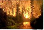 Un incendio en Santa Lucía hace peligrar el palmeral
