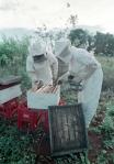Impulso a la apicultura en Gran Canaria