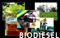 El interés por el biodiésel comienza a despuntar en España