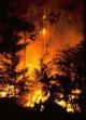 Los incendios forestales de Gran Canaria