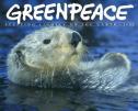 Greenpeace celebra en todo el mundo la entrada en vigor del Protocolo de Kyoto