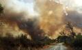 Un incendio arrasa al menos dos hectáreas de pinar en Valleseco