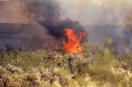 El incendio forestal de Aríñez, el peor de la última década en Gran Canaria
