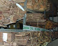 La Guardia Civil interviene más de 33 toneladas de madera de una especie en peligro de extinción