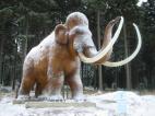 Reconstrucción de la cabeza del mamut