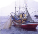 La CE propone prohibir la pesca de arrastre de fondo en aguas canarias